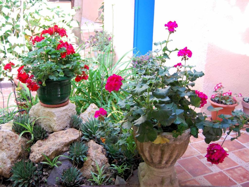 קאלדס דה מאלבלה Hostal Fabrellas מראה חיצוני תמונה